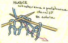hladce